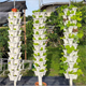 Stackable Gardening Tower(🎊 50% OFF + Buy 5 Free Shipping)