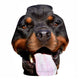 3D Graphic Printed Hoodies Dog